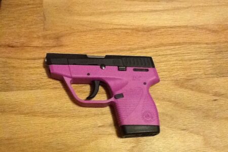 Taurus TCP PT738 Raspberry in .380acp 738